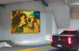 Campaña publicitaria