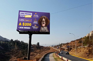 Campaña publicitaria