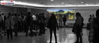 Caja De Luz, Llegada - Aeropuerto Santiago