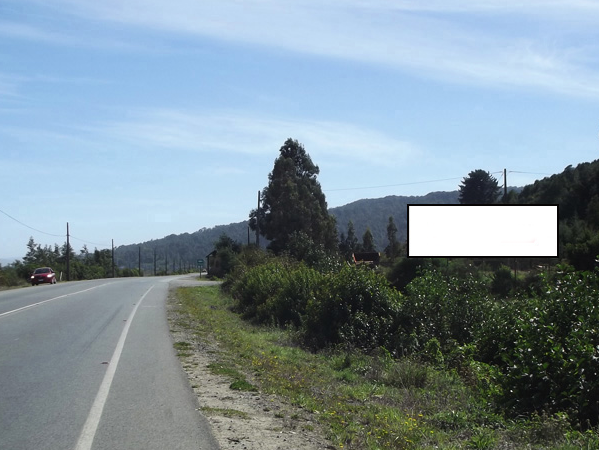 Foto de Ruta 206, entrada sur Valdivia por Paillaco