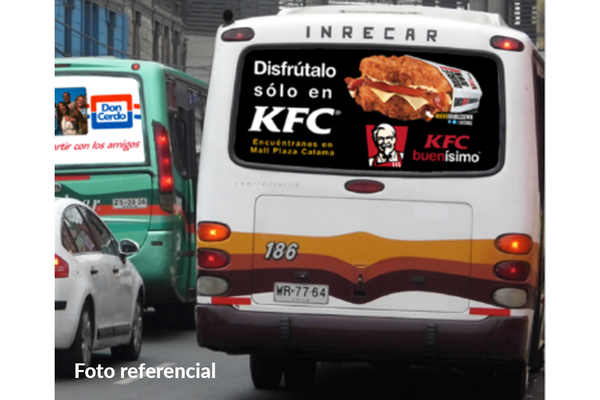 Foto de Luneta Bus Iquique - 30 Lunetas