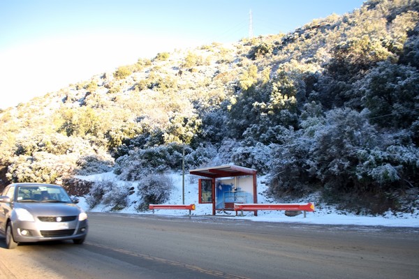 Foto de Ruta camino a centro de la montaña KM 11
