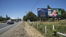 Ruta Freire - Villarrica 42,6 